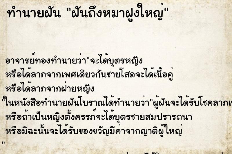 ทำนายฝันฝันถึงหมาฝูงใหญ่ ทำนายฝันทำนายฝันฝันถึงหมาฝูงใหญ่