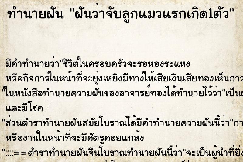 ทำนายฝัน ฝันว่าจับลูกแมวแรกเกิด1ตัว ทำนายฝัน ฝันว่าจับลูกแมวแรกเกิด1ตัว