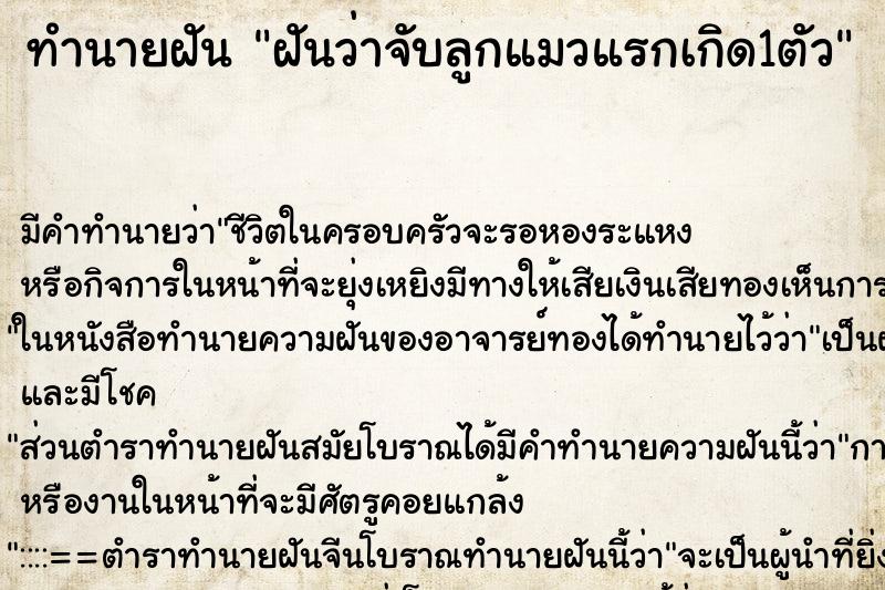 ทำนายฝัน ฝันว่าจับลูกแมวแรกเกิด1ตัว ตำราโบราณ แม่นที่สุดในโลก