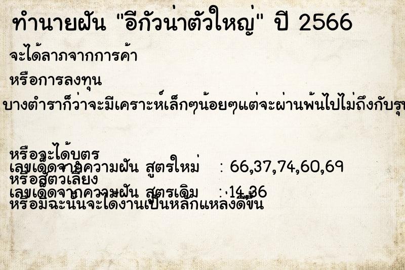 ทำนายฝัน อีกัวน่าตัวใหญ่ ทำนายฝัน อีกัวน่าตัวใหญ่