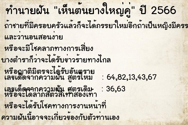 ทำนายฝันเห็นต้นยางใหญ่คู่ ทำนายฝันทำนายฝันเห็นต้นยางใหญ่คู่