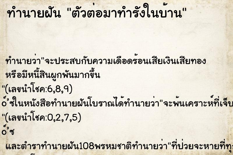 ทำนายฝัน ตัวต่อมาทำรังในบ้าน ทำนายฝัน ตัวต่อมาทำรังในบ้าน