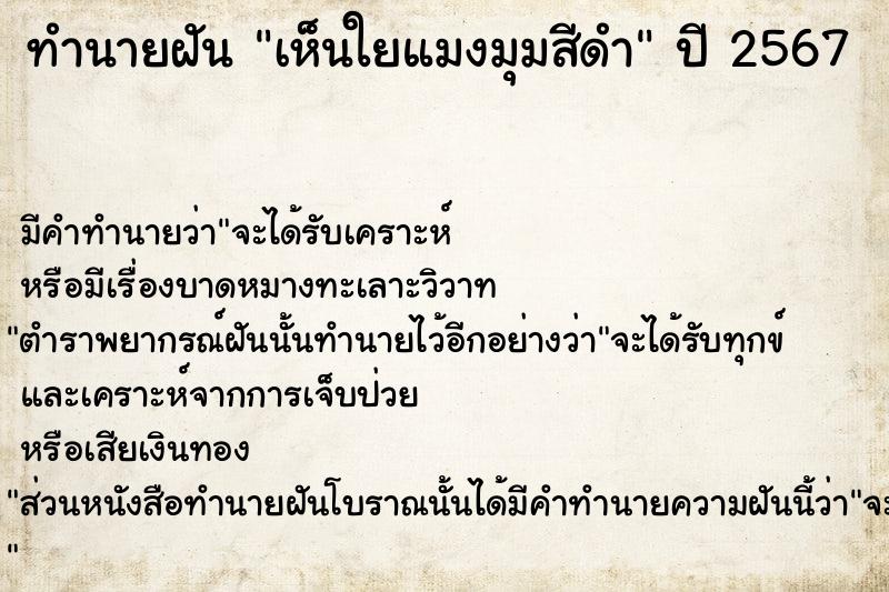 ทำนายฝัน เห็นใยแมงมุมสีดำ ทำนายฝัน เห็นใยแมงมุมสีดำ