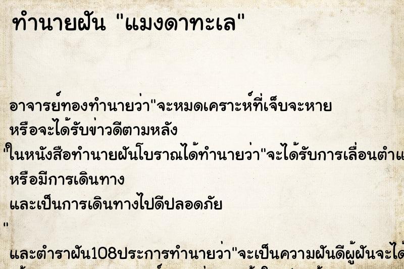 ทำนายฝัน แมงดาทะเล ทำนายฝัน แมงดาทะเล