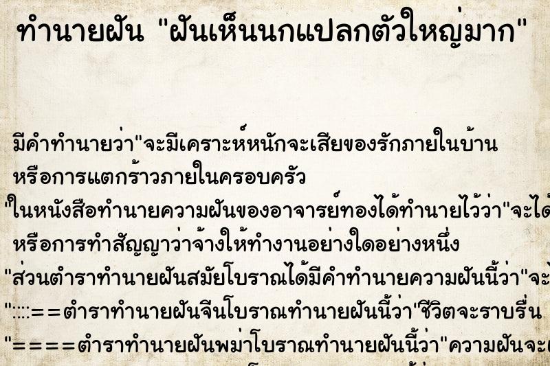 ทำนายฝัน ฝันเห็นนกแปลกตัวใหญ่มาก ทำนายฝัน ฝันเห็นนกแปลกตัวใหญ่มาก