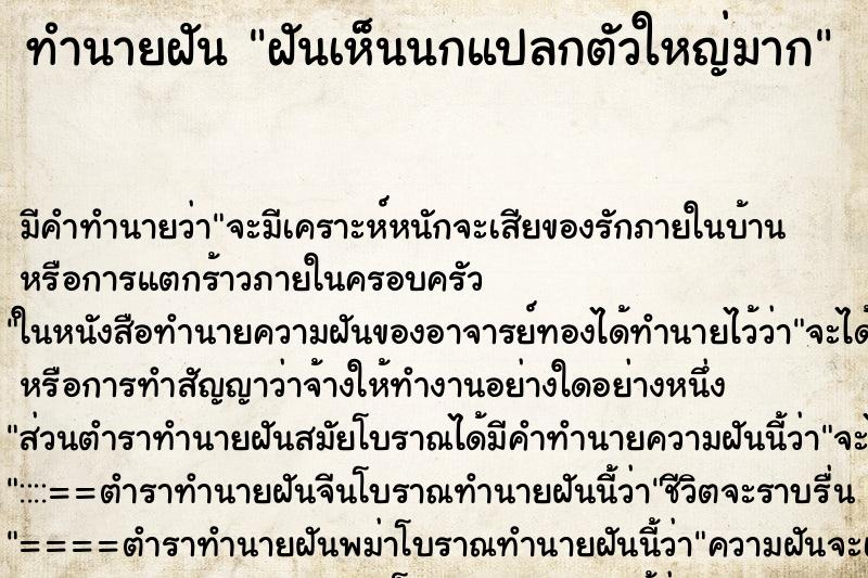 ทำนายฝัน ฝันเห็นนกแปลกตัวใหญ่มาก ตำราโบราณ แม่นที่สุดในโลก