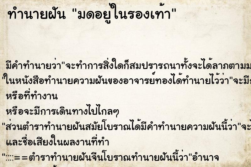 ทำนายฝัน มดอยู่ในรองเท้า ทำนายฝัน มดอยู่ในรองเท้า