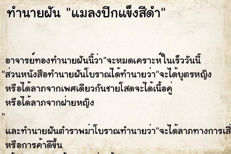 ทำนายฝัน แมลงปีกแข็งสีดำ ทำนายฝัน แมลงปีกแข็งสีดำ
