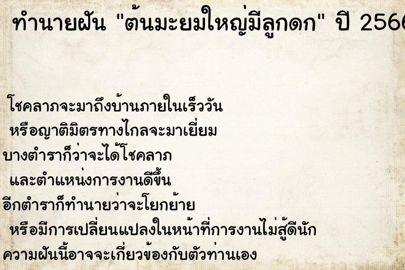 ทำนายฝันต้นมะยมใหญ่มีลูกดก ทำนายฝันทำนายฝันต้นมะยมใหญ่มีลูกดก