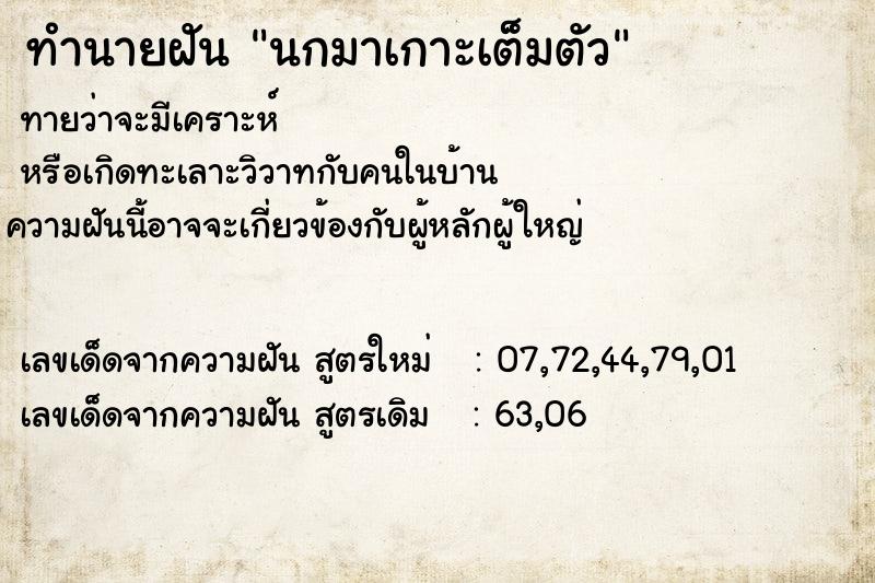 ทำนายฝัน นกมาเกาะเต็มตัว ทำนายฝัน นกมาเกาะเต็มตัว