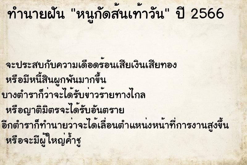 ทำนายฝันทำนายฝันหนูกัดส้นเท้าวัน