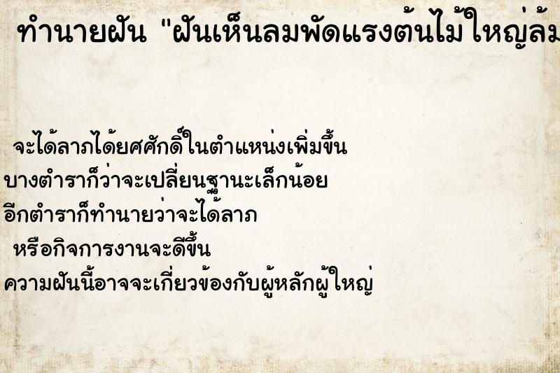 ทำนายฝันฝันเห็นลมพัดแรงต้นไม้ใหญ่ล้ม ทำนายฝันทำนายฝันฝันเห็นลมพัดแรงต้นไม้ใหญ่ล้ม