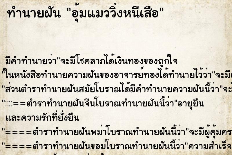 ทำนายฝัน อุ้มแมววิ่งหนีเสือ ตำราโบราณ แม่นที่สุดในโลก