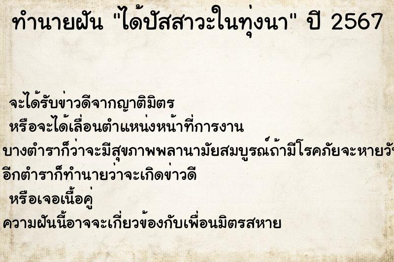 ทำนายฝันทำนายฝันได้ปัสสาวะในทุ่งนา