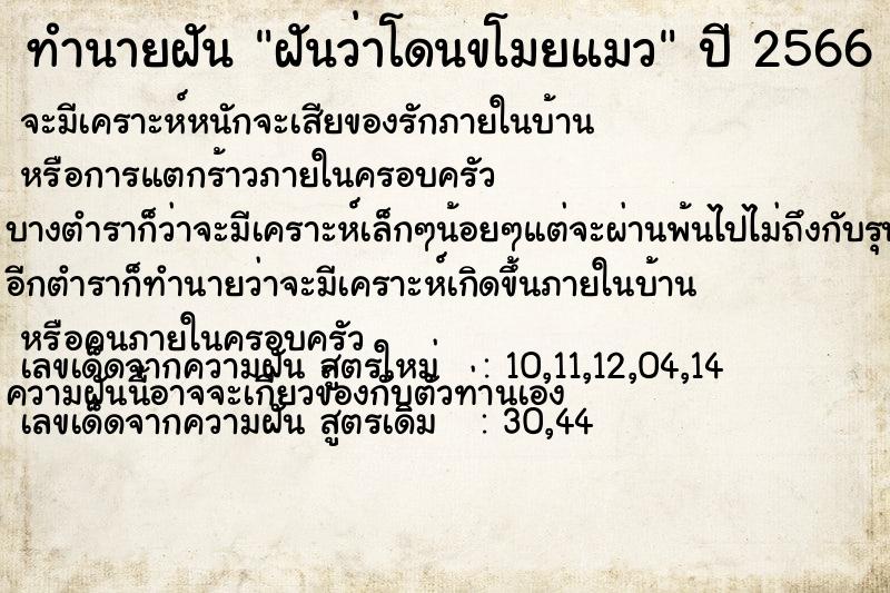 ทำนายฝันทำนายฝันฝันว่าโดนขโมยแมว