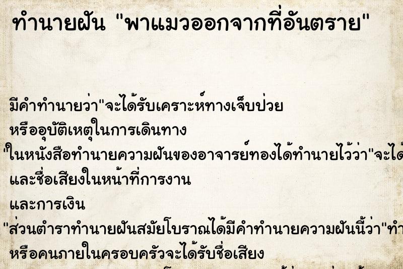 ทำนายฝัน พาแมวออกจากที่อันตราย ทำนายฝัน พาแมวออกจากที่อันตราย