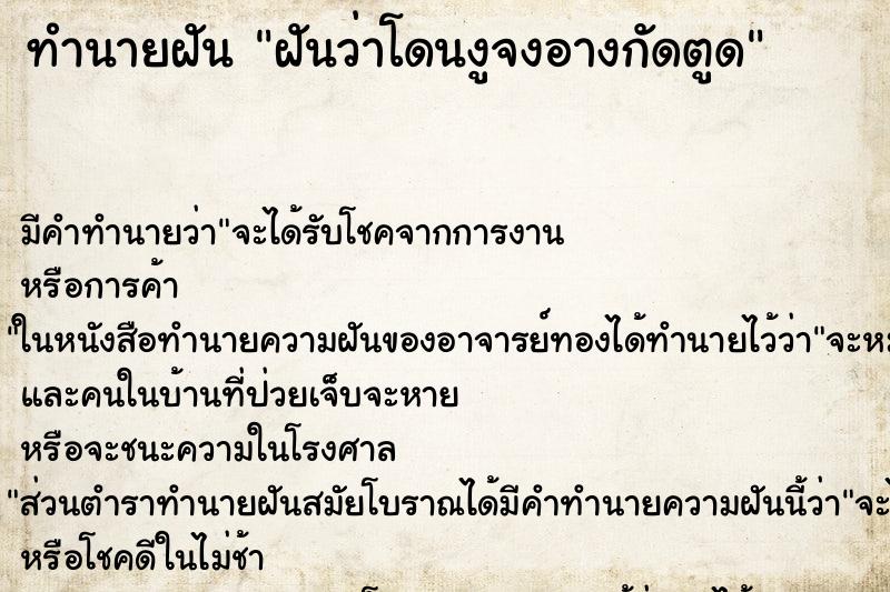 ทำนายฝัน ฝันว่าโดนงูจงอางกัดตูด ทำนายฝัน ฝันว่าโดนงูจงอางกัดตูด