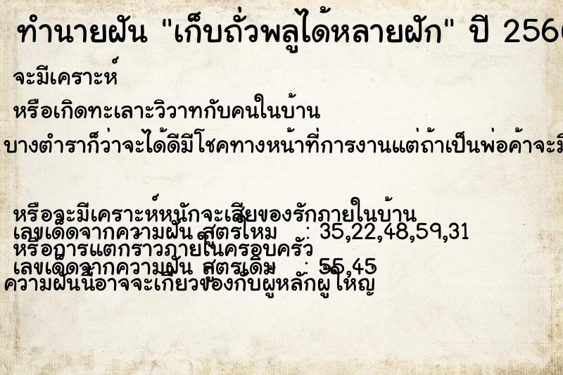 ทำนายฝัน เก็บถั่วพลูได้หลายฝัก