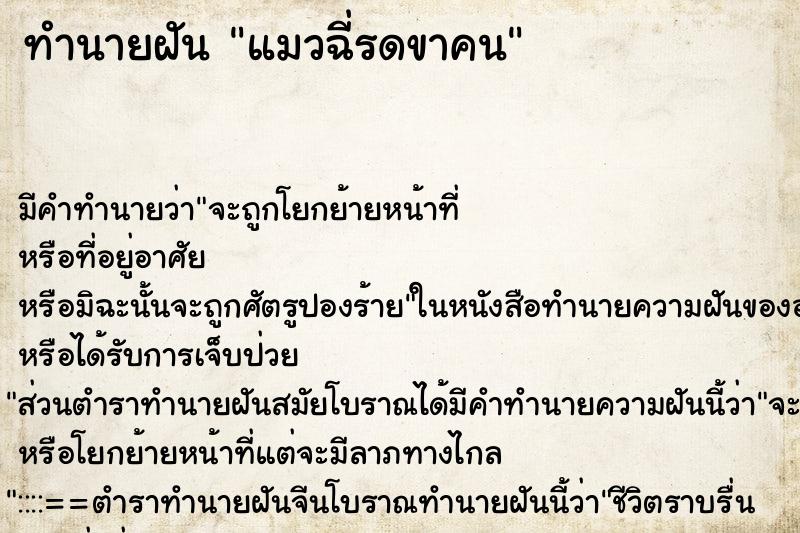 ทำนายฝันแมวฉี่รดขาคน ทำนายฝันทำนายฝันแมวฉี่รดขาคน