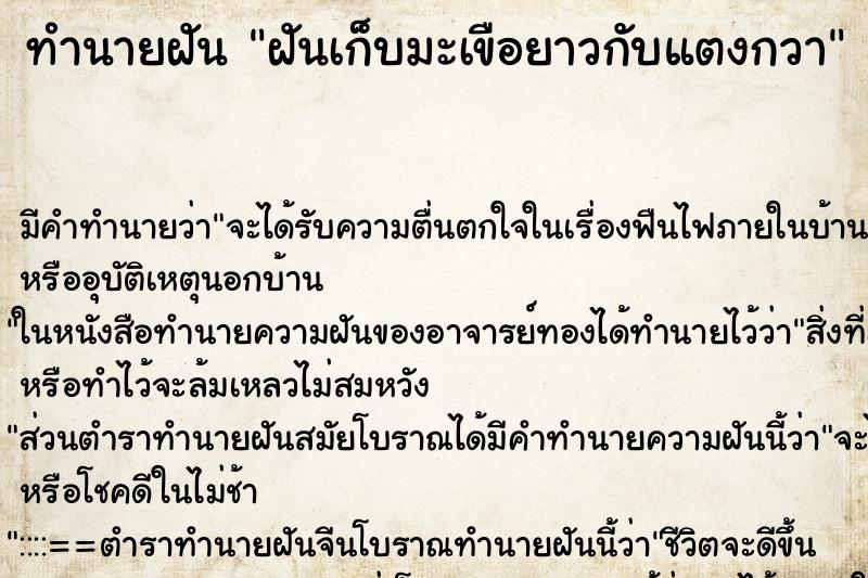ทำนายฝัน ฝันเก็บมะเขือยาวกับแตงกวา ทำนายฝัน ฝันเก็บมะเขือยาวกับแตงกวา