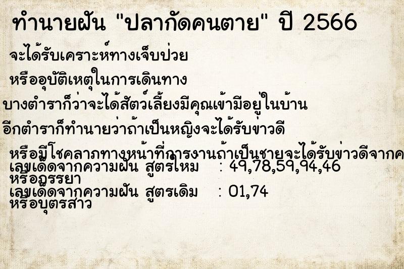 ทำนายฝัน ปลากัดคนตาย ทำนายฝัน ปลากัดคนตาย