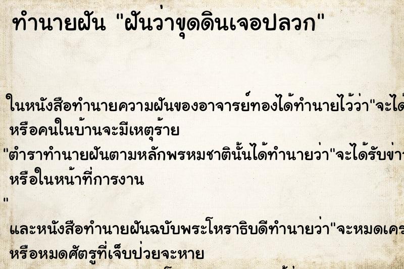 ทำนายฝันทำนายฝันฝันว่าขุดดินเจอปลวก