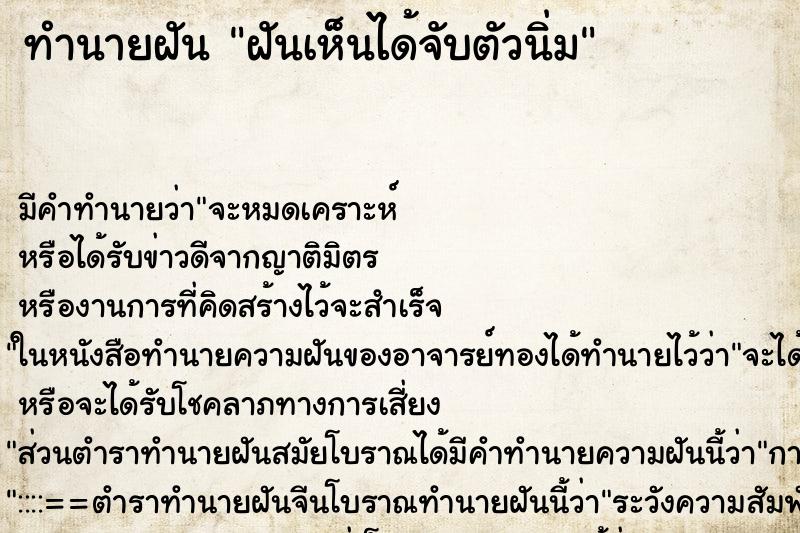 ทำนายฝันฝันเห็นได้จับตัวนิ่ม ทำนายฝันทำนายฝันฝันเห็นได้จับตัวนิ่ม