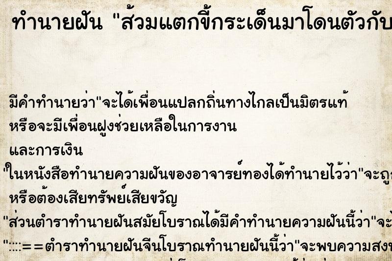 ทำนายฝัน ส้วมแตกขี้กระเด็นมาโดนตัวกับหัวและเข้าปาก ทำนายฝัน ส้วมแตกขี้กระเด็นมาโดนตัวกับหัวและเข้าปาก