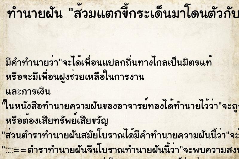 ทำนายฝัน ส้วมแตกขี้กระเด็นมาโดนตัวกับหัวและเข้าปาก ตำราโบราณ แม่นที่สุดในโลก