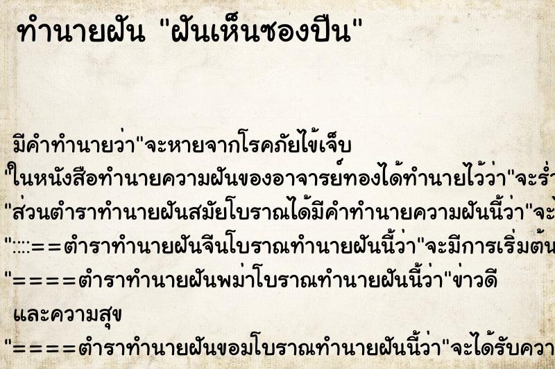 ทำนายฝัน ฝันเห็นซองปืน ทำนายฝัน ฝันเห็นซองปืน