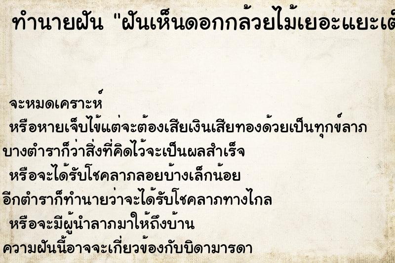 ทำนายฝันทำนายฝันฝันเห็นดอกกล้วยไม้เยอะแยะเต็มไปหมด