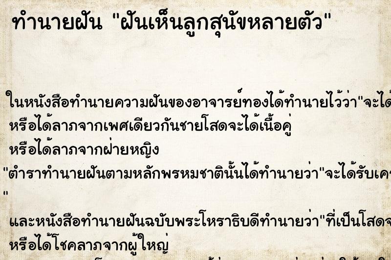 ทำนายฝันฝันเห็นลูกสุนัขหลายตัว ทำนายฝันทำนายฝันฝันเห็นลูกสุนัขหลายตัว