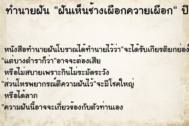 ทำนายฝันฝันเห็นช้างเผือกควายเผือก ทำนายฝันทำนายฝันฝันเห็นช้างเผือกควายเผือก