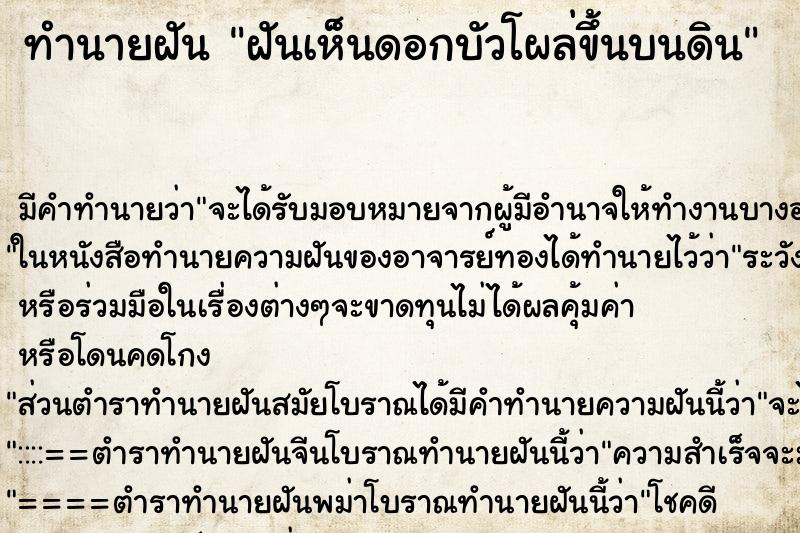 ทำนายฝัน ฝันเห็นดอกบัวโผล่ขึ้นบนดิน ทำนายฝัน ฝันเห็นดอกบัวโผล่ขึ้นบนดิน