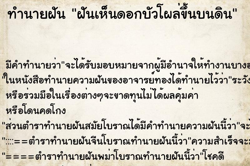 ทำนายฝัน ฝันเห็นดอกบัวโผล่ขึ้นบนดิน ตำราโบราณ แม่นที่สุดในโลก