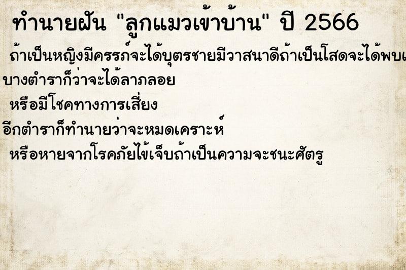 ทำนายฝันทำนายฝันลูกแมวเข้าบ้าน