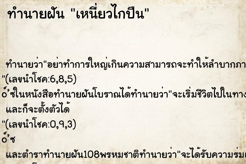 ทำนายฝันเหนี่ยวไกปืน ทำนายฝันทำนายฝันเหนี่ยวไกปืน