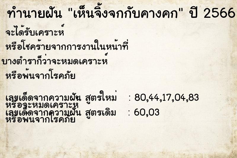 ทำนายฝัน เห็นจิ้งจกกับคางคก ทำนายฝัน เห็นจิ้งจกกับคางคก