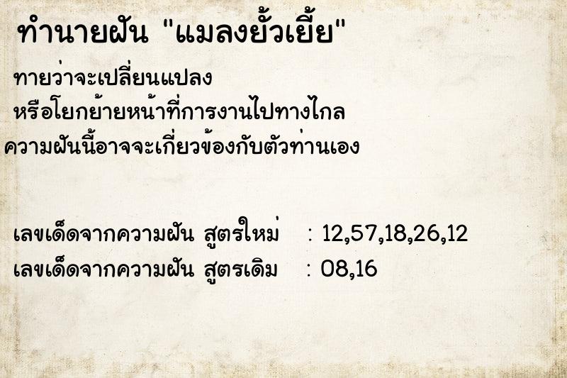 ทำนายฝัน แมลงยั้วเยี้ย ทำนายฝัน แมลงยั้วเยี้ย