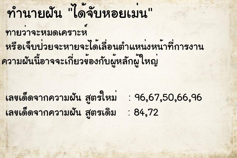 ทำนายฝัน ได้จับหอยเม่น ทำนายฝัน ได้จับหอยเม่น