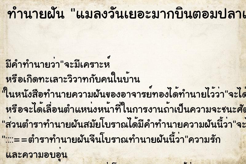 ทำนายฝัน แมลงวันเยอะมากบินตอมปลาเน่า ทำนายฝัน แมลงวันเยอะมากบินตอมปลาเน่า