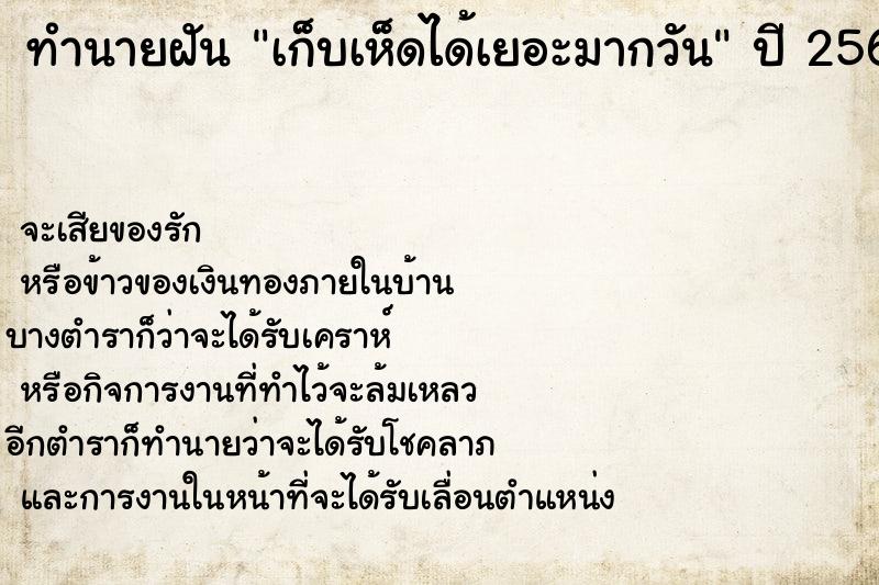 ทำนายฝันเก็บเห็ดได้เยอะมากวัน ทำนายฝันทำนายฝันเก็บเห็ดได้เยอะมากวัน