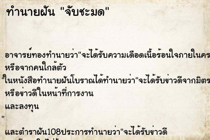 ทำนายฝันทำนายฝันจับชะมด