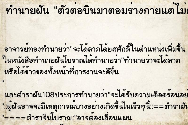 ทำนายฝัน ตัวต่อบินมาตอมร่างกายแต่ไม่ต่อย ทำนายฝัน ตัวต่อบินมาตอมร่างกายแต่ไม่ต่อย
