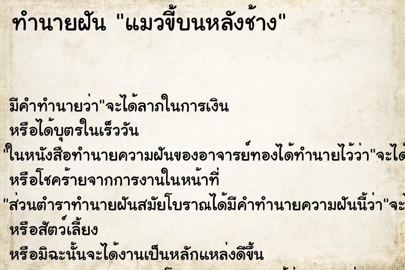 ทำนายฝัน แมวขี้บนหลังช้าง ทำนายฝัน แมวขี้บนหลังช้าง