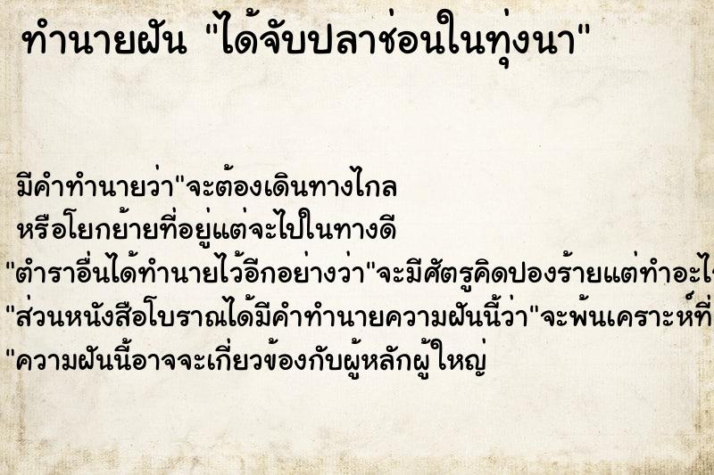 ทำนายฝัน ได้จับปลาช่อนในทุ่งนา ทำนายฝัน ได้จับปลาช่อนในทุ่งนา