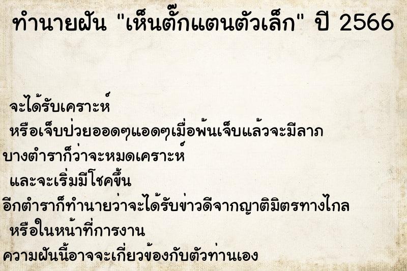 ทำนายฝันเห็นตั๊กแตนตัวเล็ก ทำนายฝันทำนายฝันเห็นตั๊กแตนตัวเล็ก