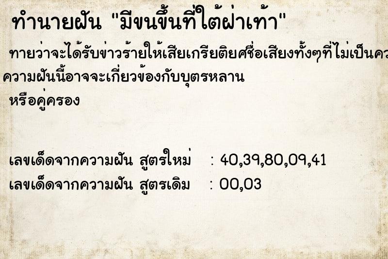 ทำนายฝันมีขนขึ้นที่ใต้ฝ่าเท้า ทำนายฝันทำนายฝันมีขนขึ้นที่ใต้ฝ่าเท้า
