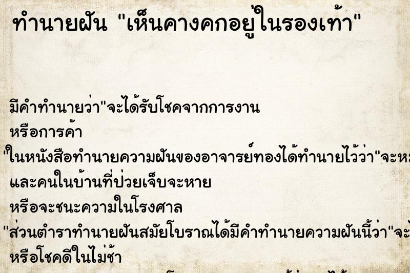 ทำนายฝัน เห็นคางคกอยู่ในรองเท้า ทำนายฝัน เห็นคางคกอยู่ในรองเท้า