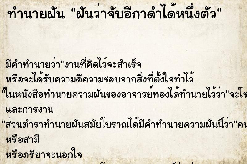ทำนายฝัน ฝันว่าจับอีกาดำได้หนึ่งตัว ทำนายฝัน ฝันว่าจับอีกาดำได้หนึ่งตัว